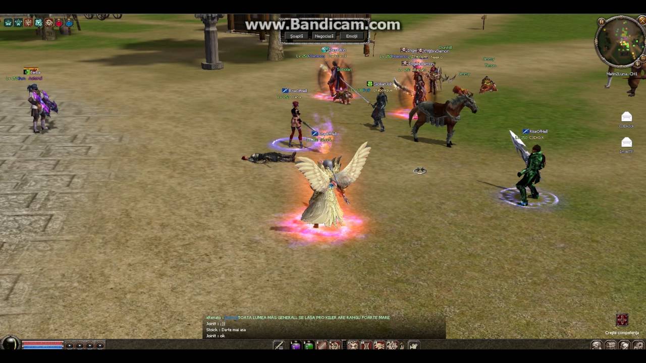 Metin2 Luna