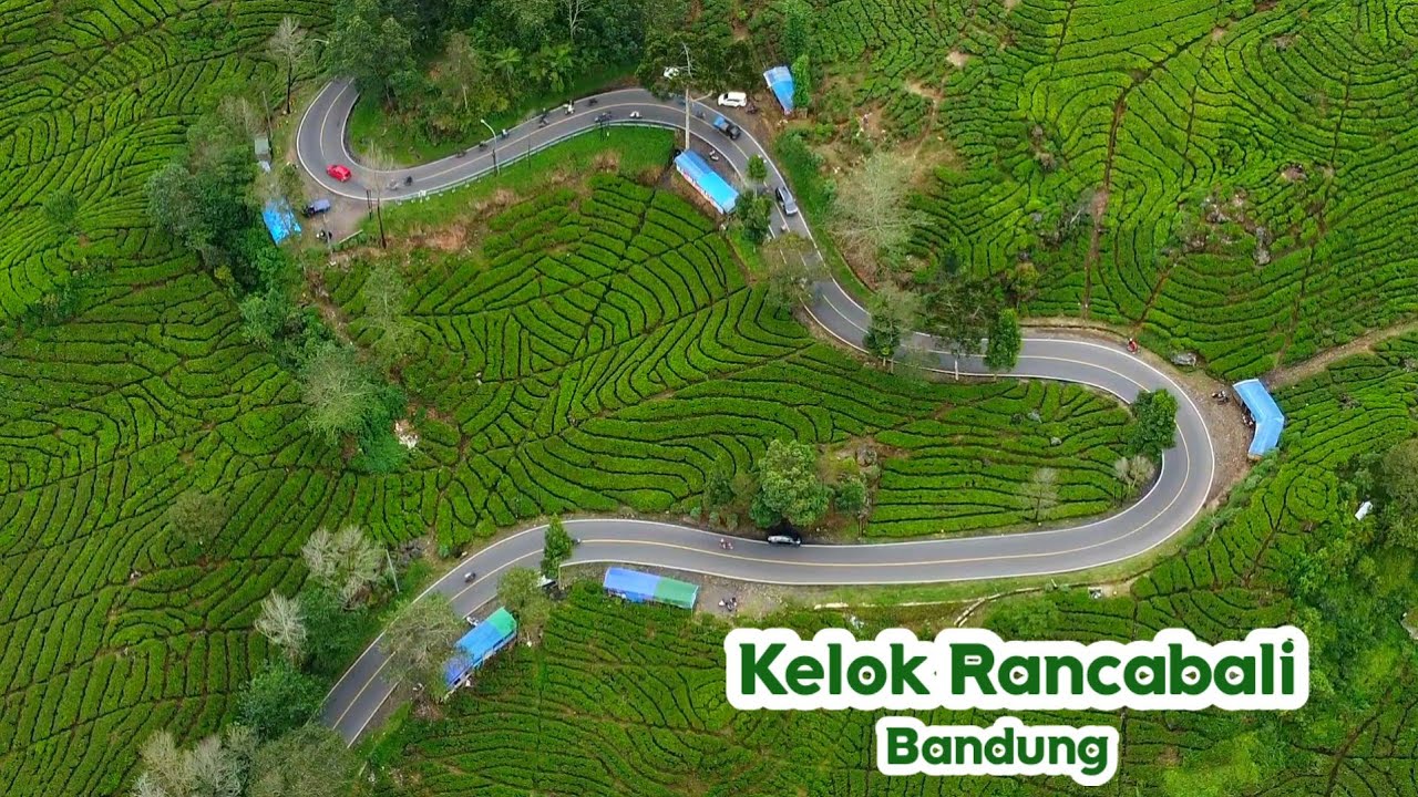 KELOK JALAN di perkebunan teh Ciwidey dan Rancabali Bandung dan Pemandangan Alam yang menakjubkan
