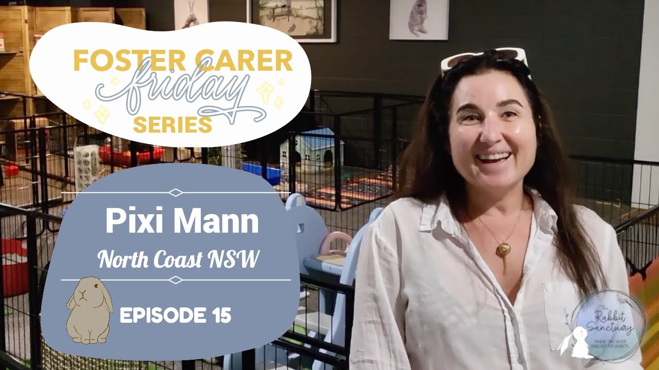 Pixi Mann Has Fostered 100 Bunnies in Ultimate Bunny Room | Foster Carer Friday Series | Episode 15
