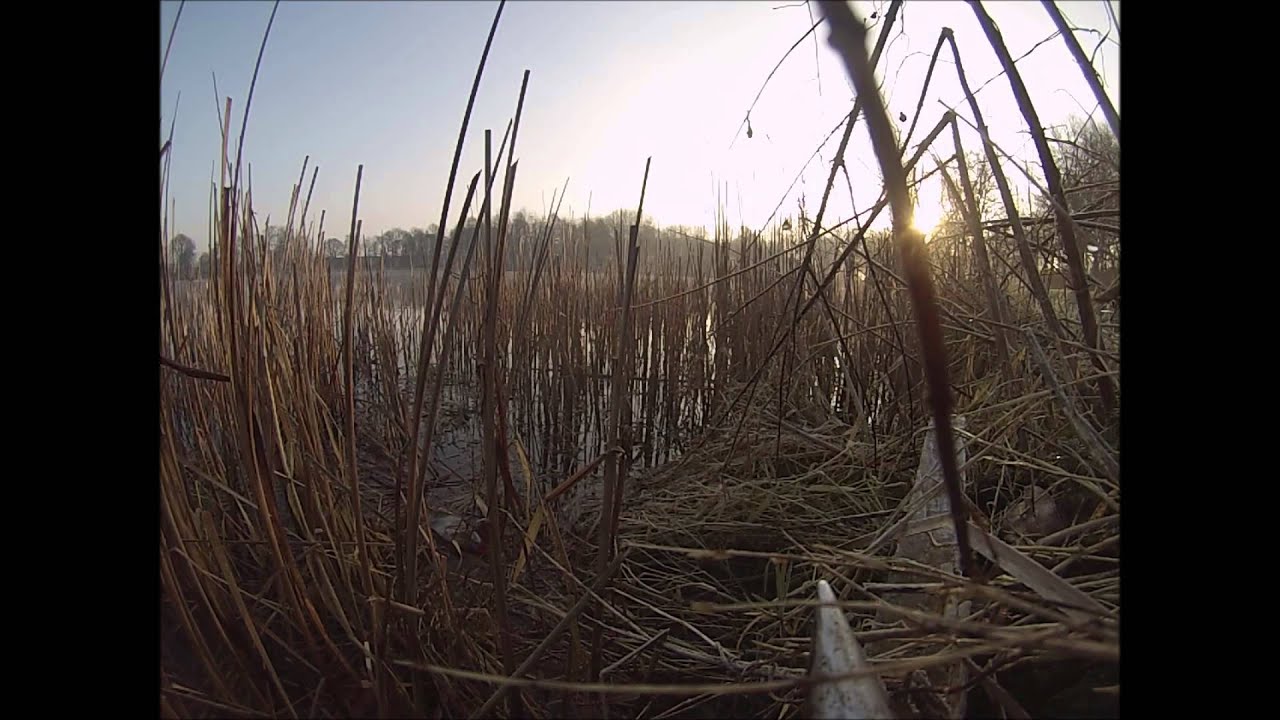 Winter Carp Fishing