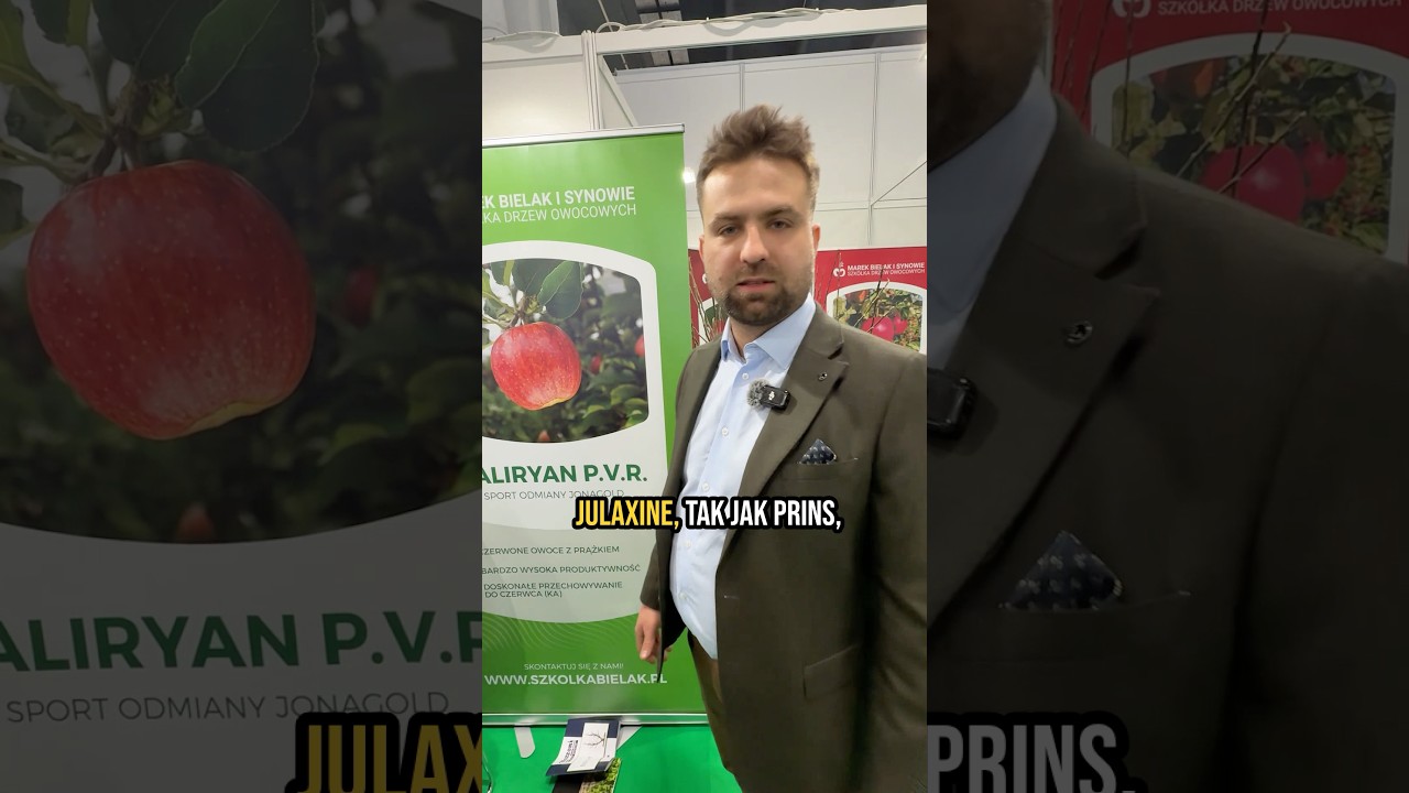 Paskowany Jonagod Daliryan oraz ciemny Jonagold Julaxine