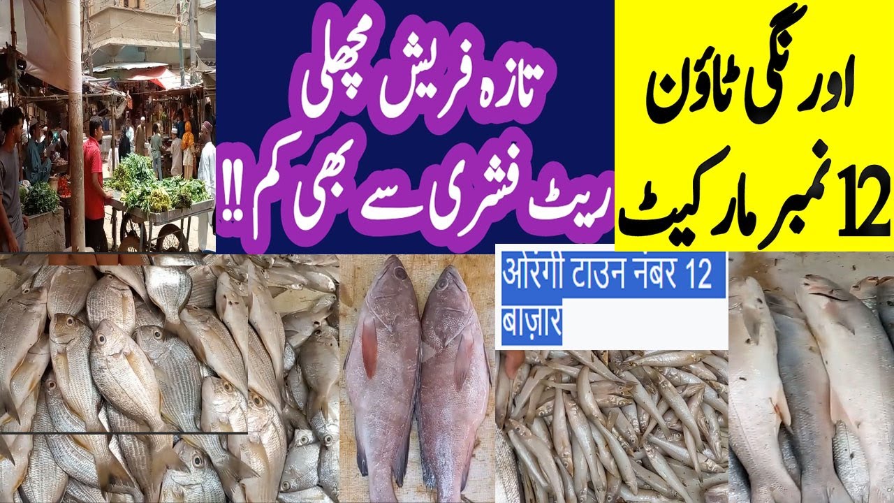Orangi Town 12 Number  | Orangi Town 12 Number Fish Market