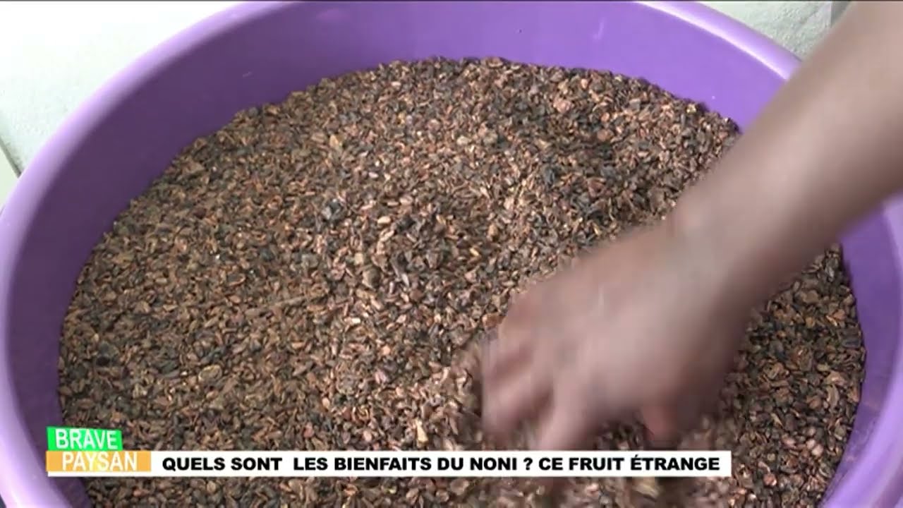 BRAVE PAYSAN BIENFAITS NONI 2