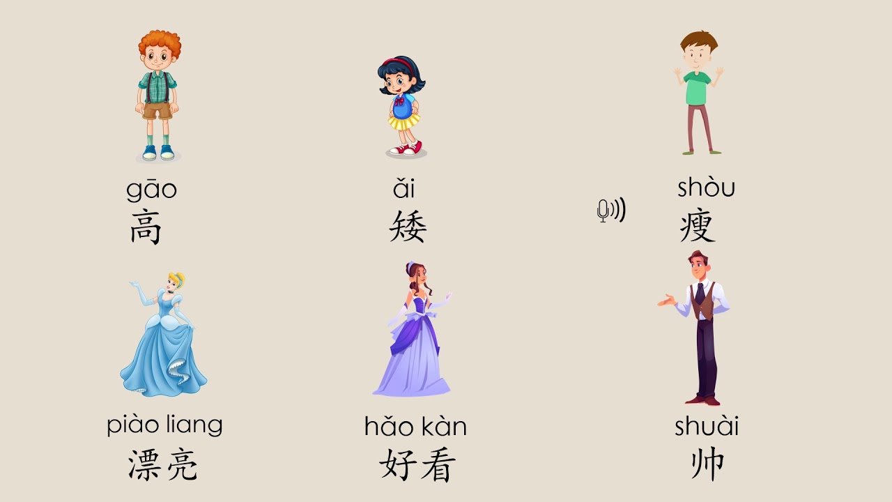 外表, Describing Appearance in Mandarin, All about Me, Chinese learning Cards, 汉语教学词卡, MrSunMandarin