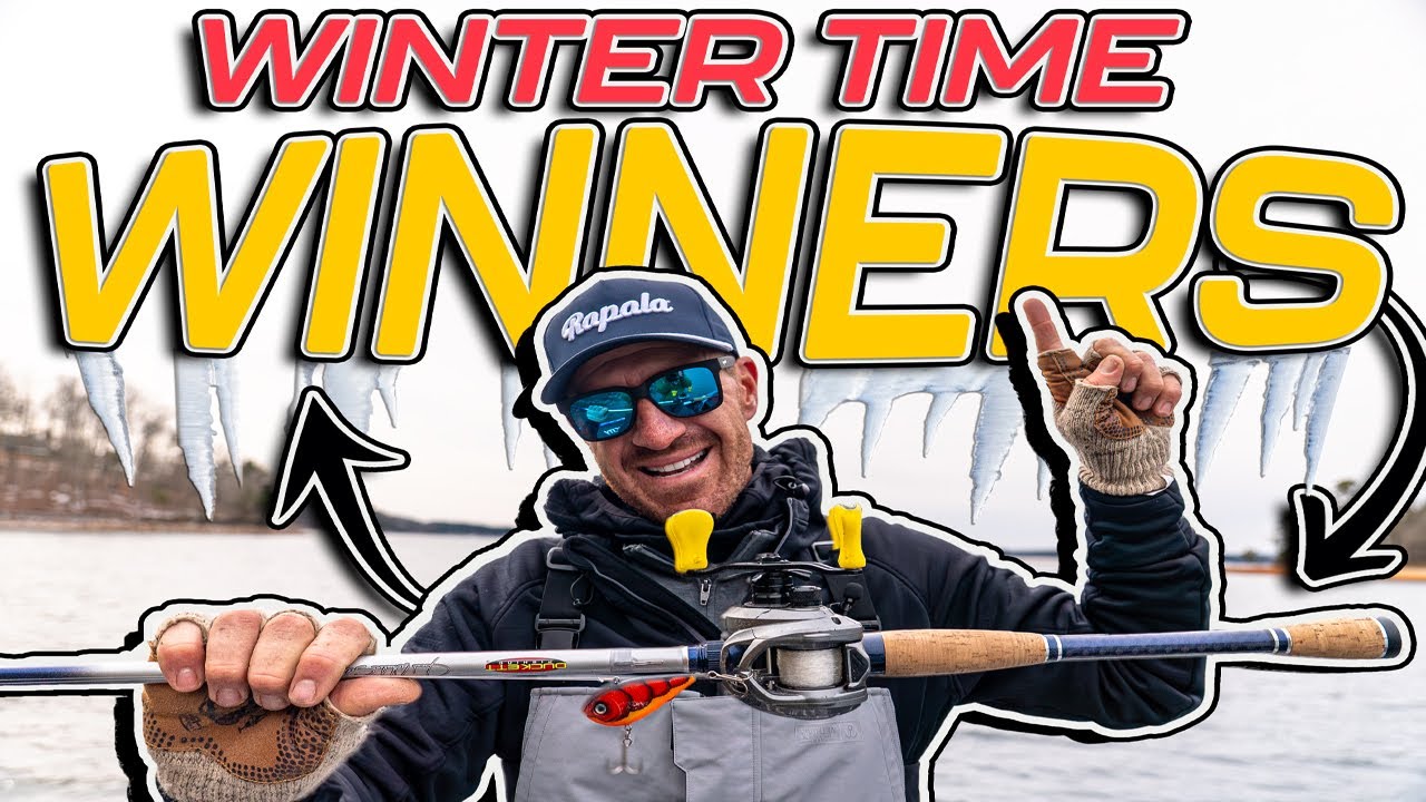 TOP BAITS of the MONTH ( FEBRUARY 2025 Edition 4K )