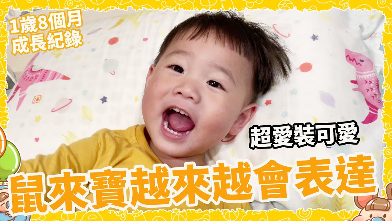 鼠來寶一歲八個月會的單字變多了｜越來越有自己的想法【Bobo TV】鼠來寶成長過程#26