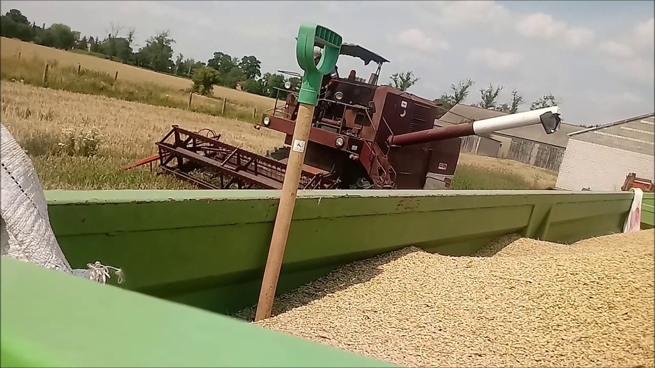 Żniwa 2018 z Kujawskim Klimatem !!!