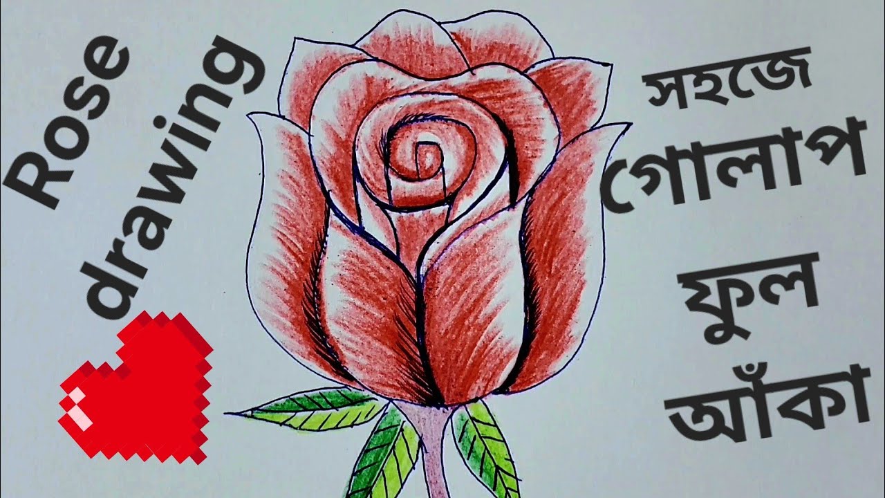 easy drawing ROSE  how to draw flower  beatifull  drawing esaydrawing