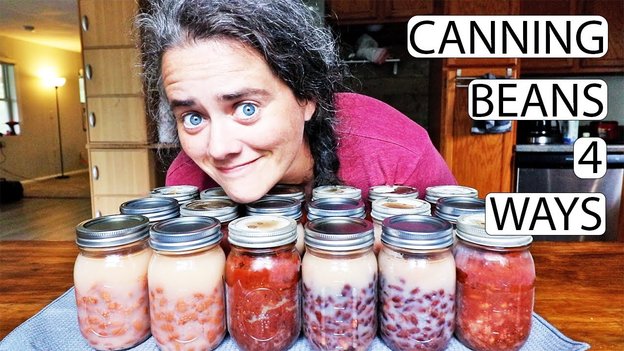 Taming The August Garden | Pressure Canning Beans 4 Ways | Day 15 Of The #everybitcountschallenge