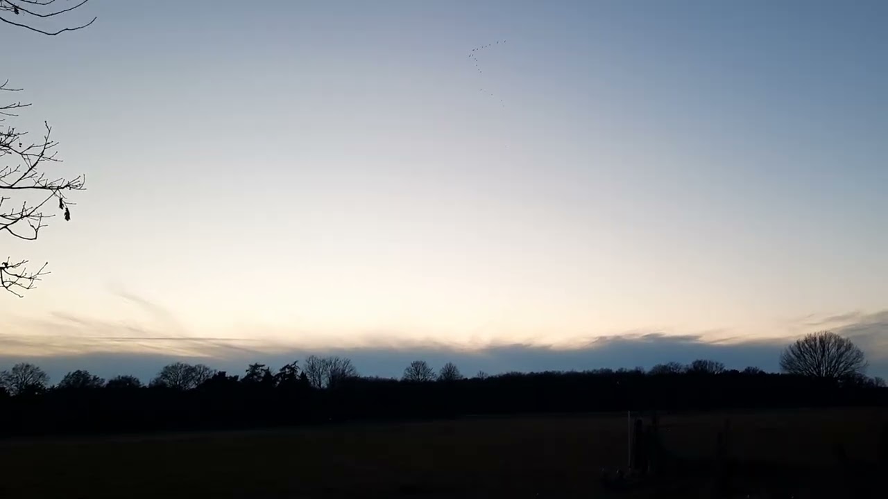 Schneewolken Vogelflug Vogelgeräusche Wind #aplaceingermany #nature
