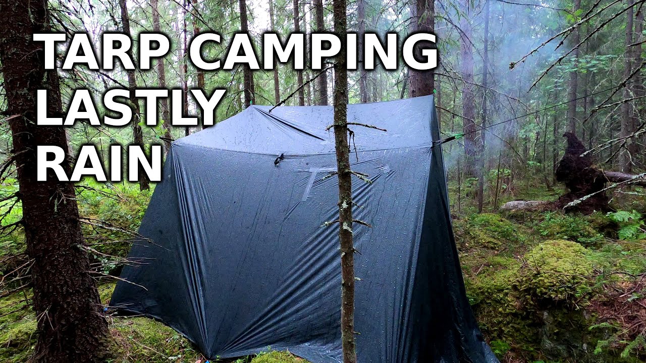 Walk into the forest, set up tarp and wait for the rain :-)