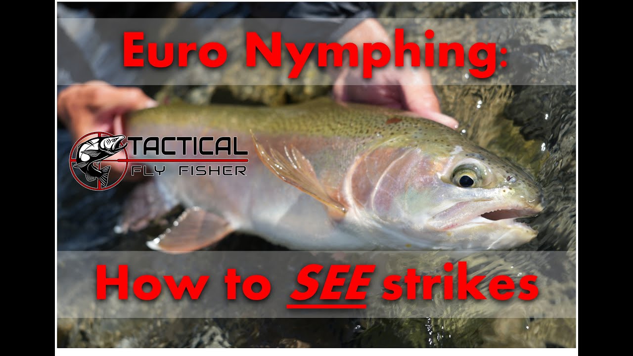 How to detect strikes VISUALLY when Euro nymphing.