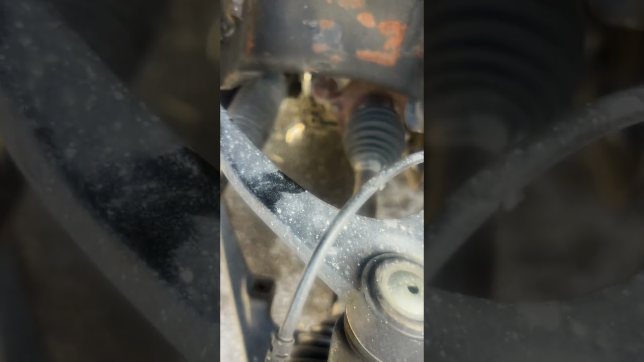 Replace front struts 