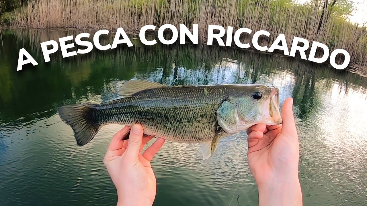 A pesca con Riccardo 🎣 #1 - Black Bass in Laghetto