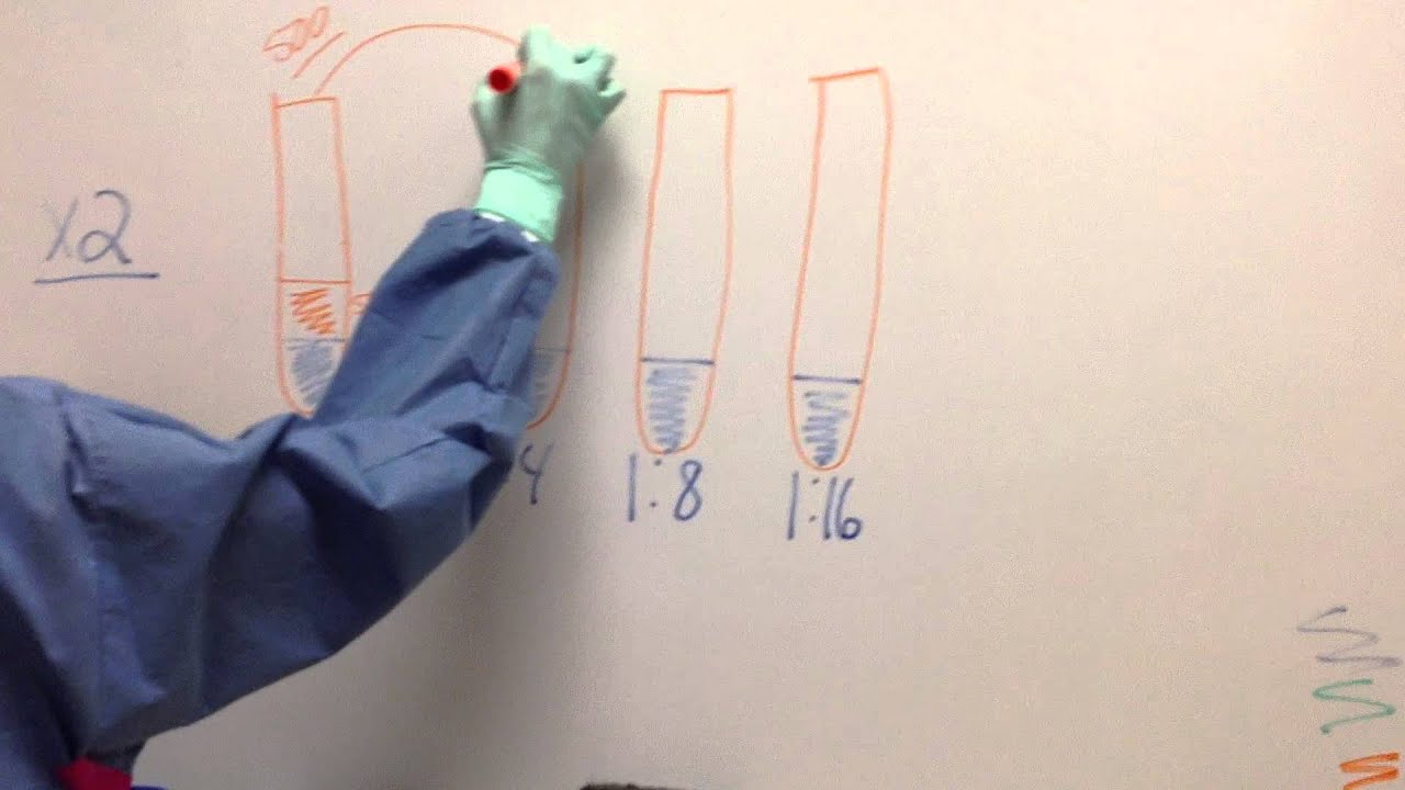 Serial Dilution Calculation