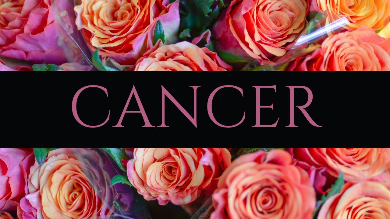 Cancer 💖~ This Person Really Needs To Grow Up Or Get Lost! ~ (🔥GORGEOUS EXTENDED MUST WATCH!!🔥)