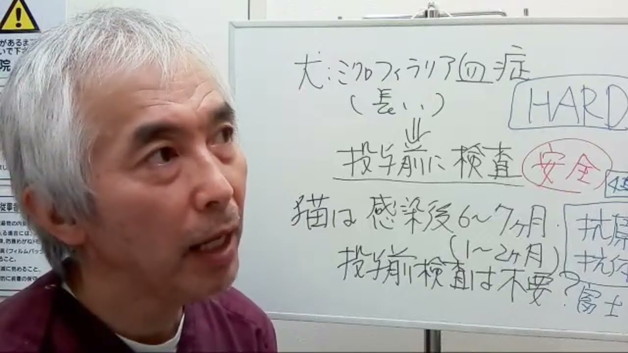 猫のフィラリア予防薬