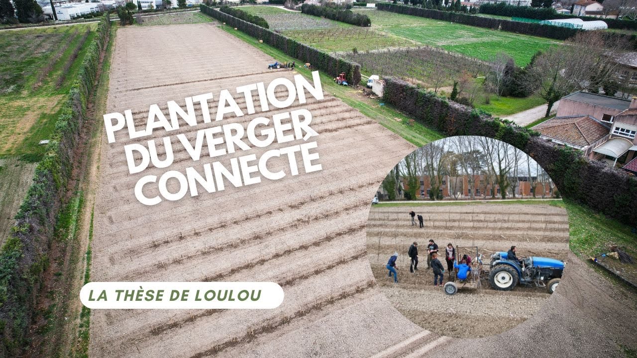 #1 - Plantation du verger connecté - INRAE Avignon