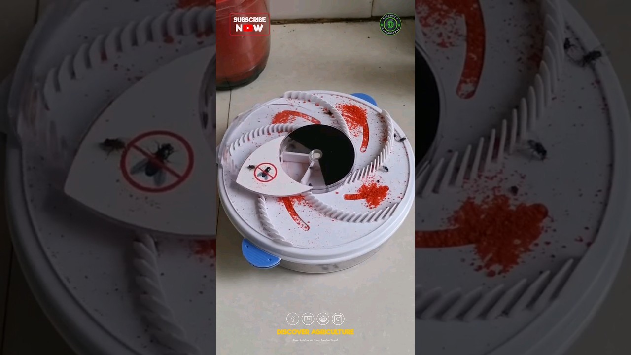 Amazing Housefly Trap 🪰