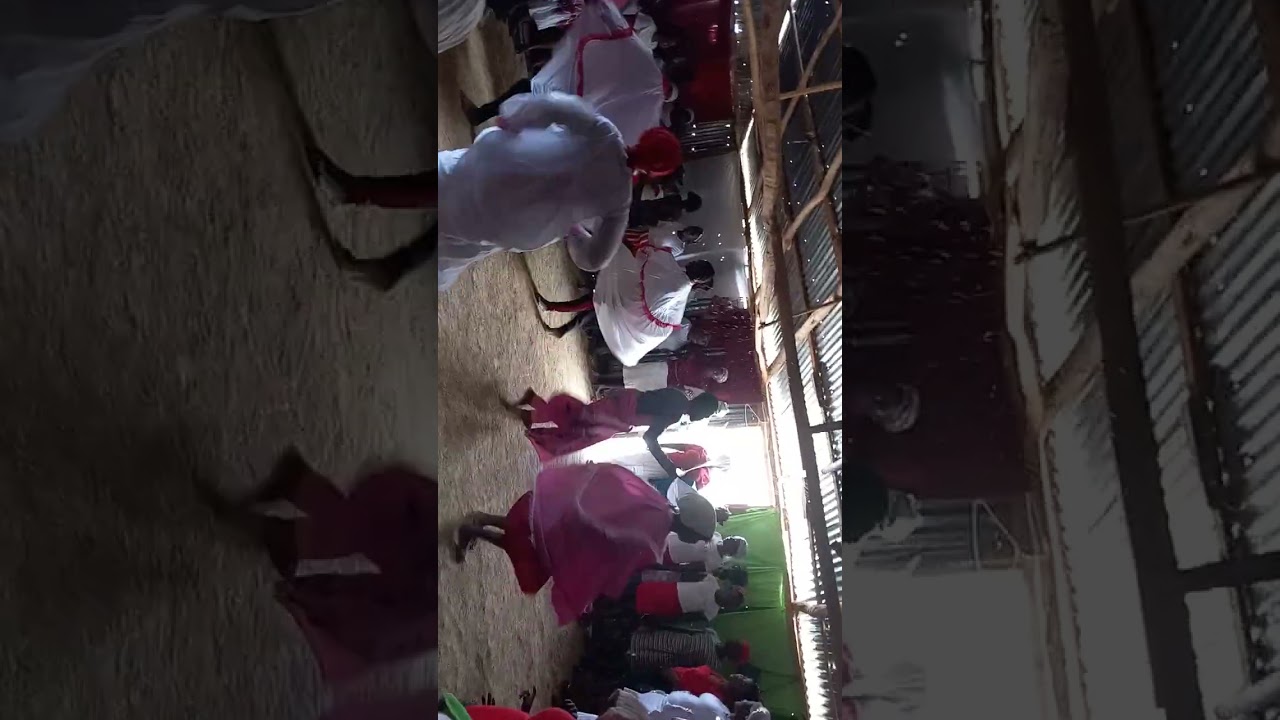 pankot port de paix demelus