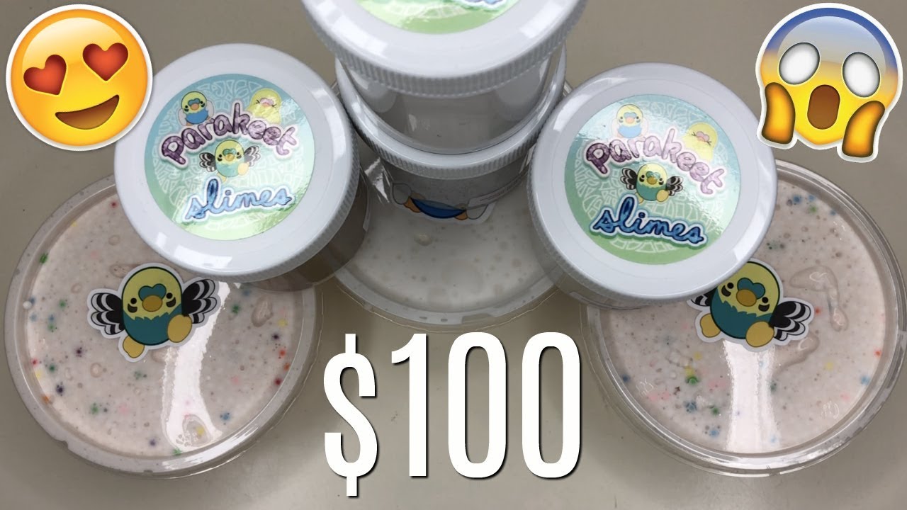 $100 @PARAKEETSLIMES  REVIEW?! *Old Setup is BACK!*