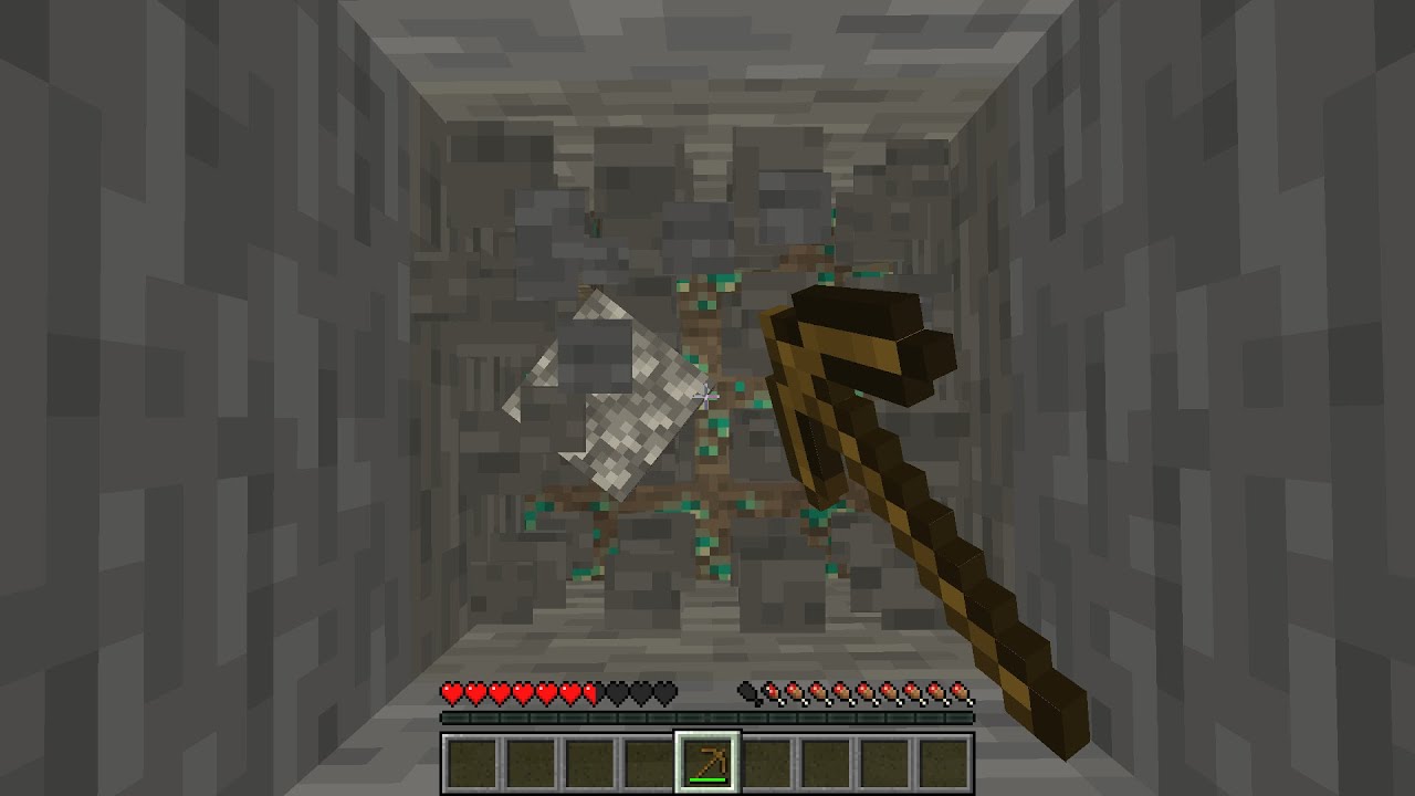 minecraft speedrunners be like