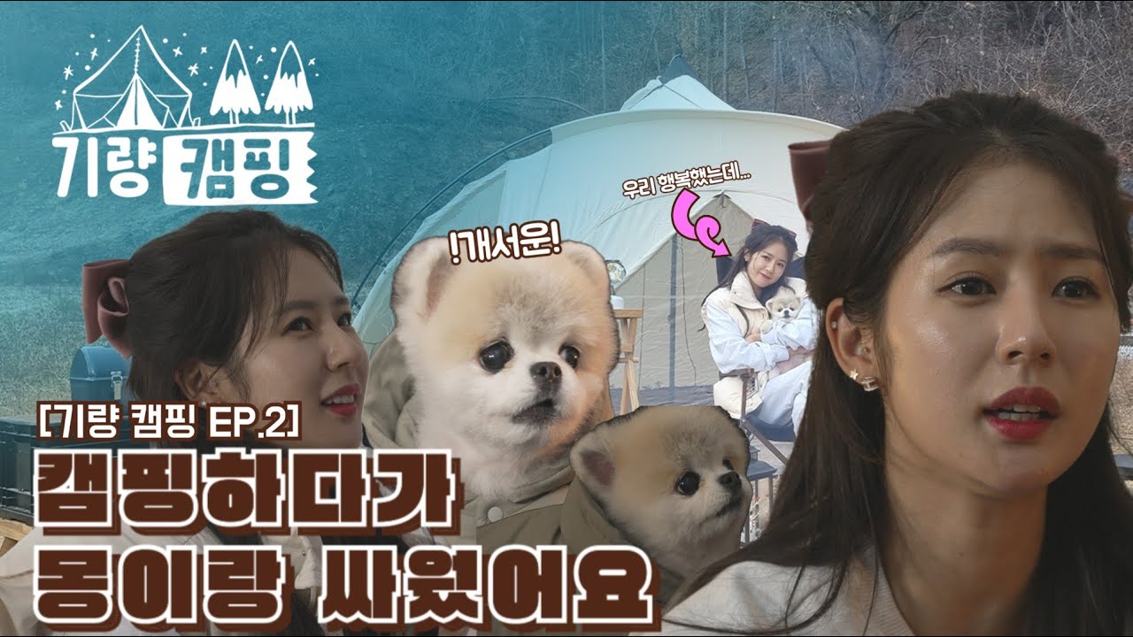 [기량 캠핑 ep.2] 캠핑은 개뿔! 몽이랑 어색해졌어요