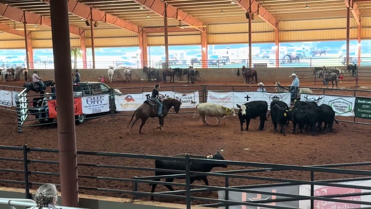 Cowfolk 🐄 doing their thing ❣️