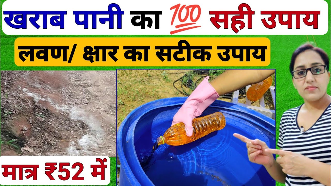 मिट्टी का कैल्शियम कार्बोनेट / सफेद शोरा / लवण खत्म करने का सही तरीका | soil ph | calcium carbonate