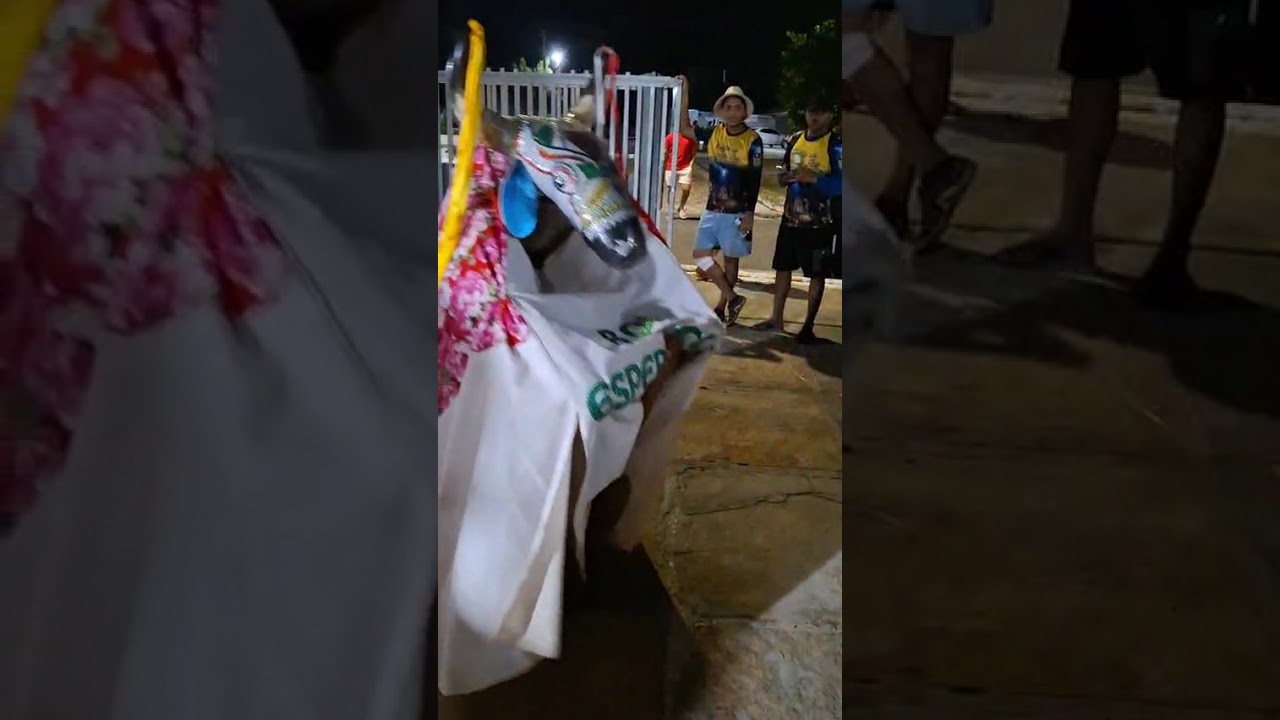 #cultura #piauiense #nordeste #boa hora Piauí 2026
