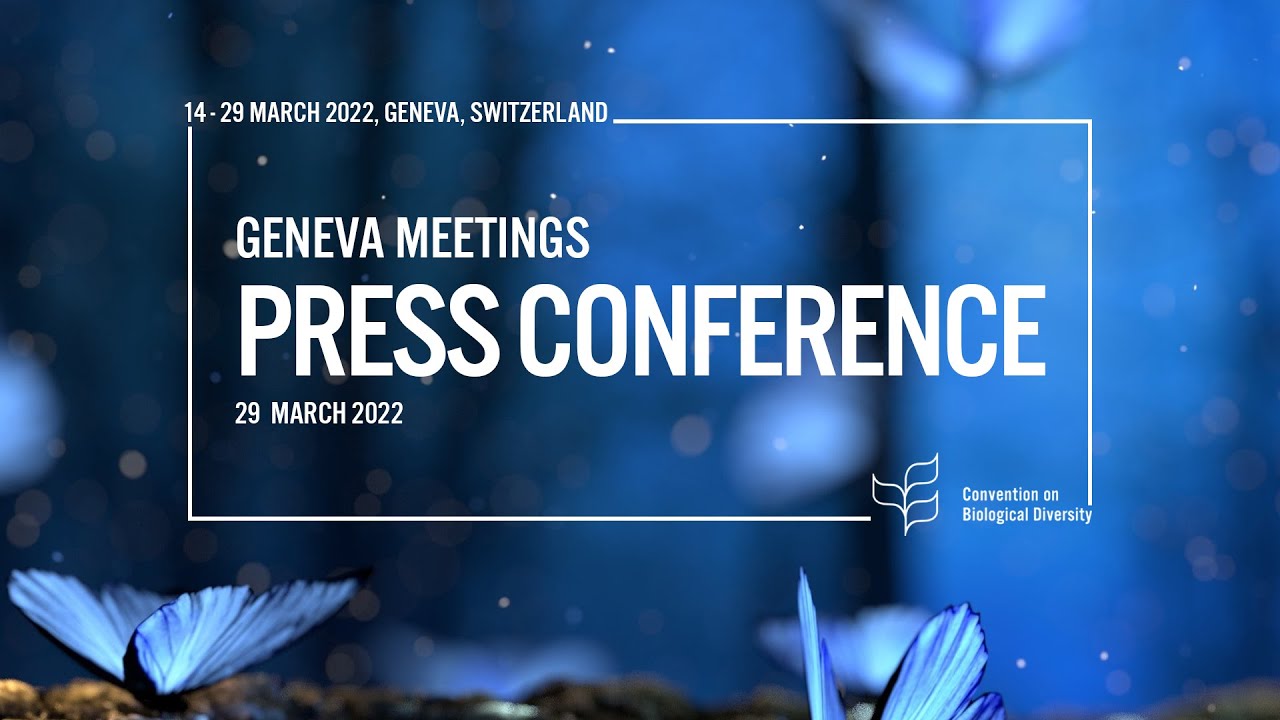 29 March 2022 - CBD Press Conference - Geneva Meetings 2022