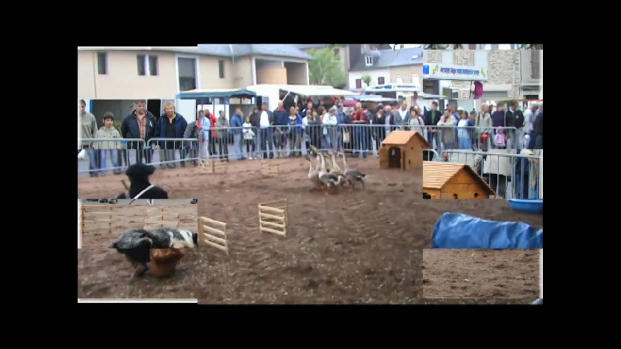 Demo Requista