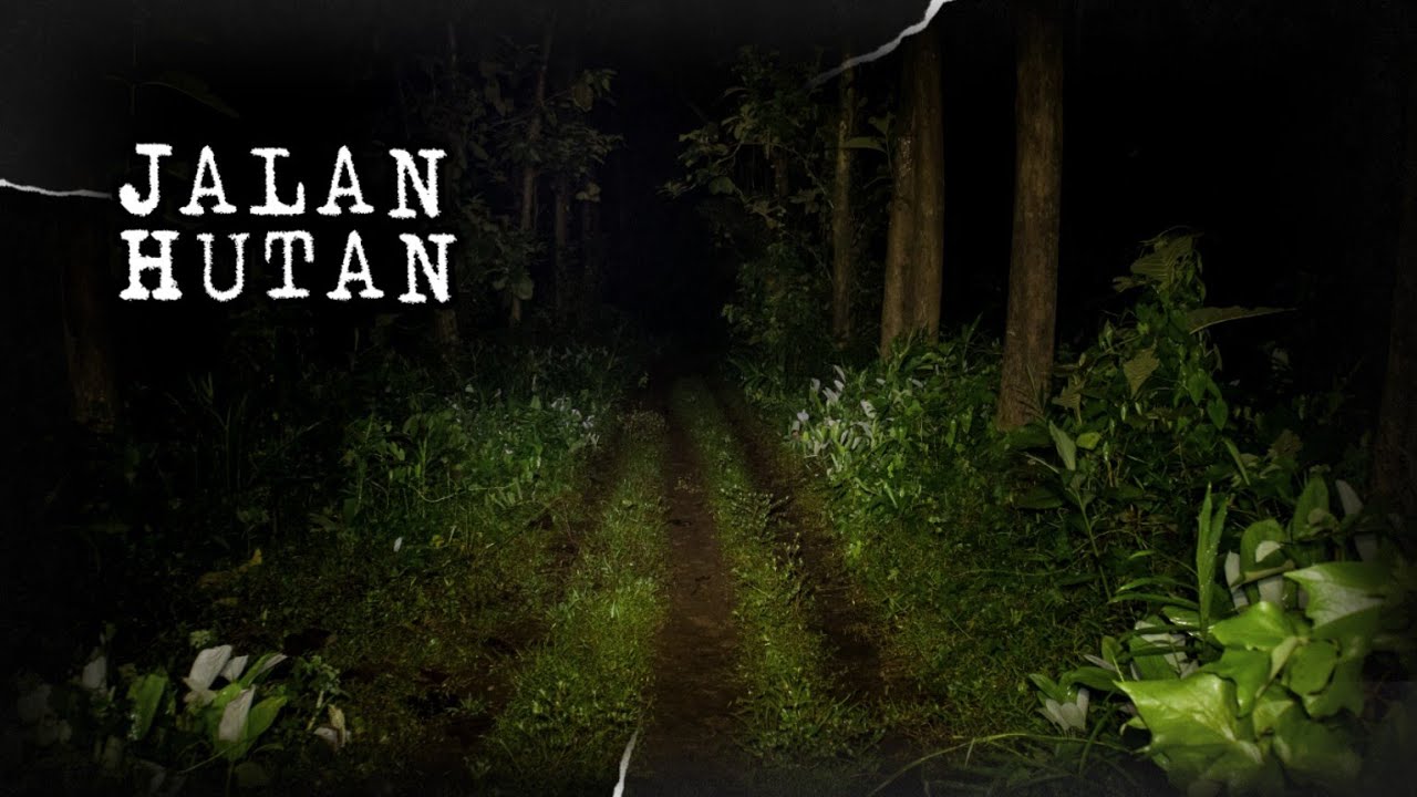 POV : Hutan Kuntilanak ? Benarkah itu ? || JALAN MALAM