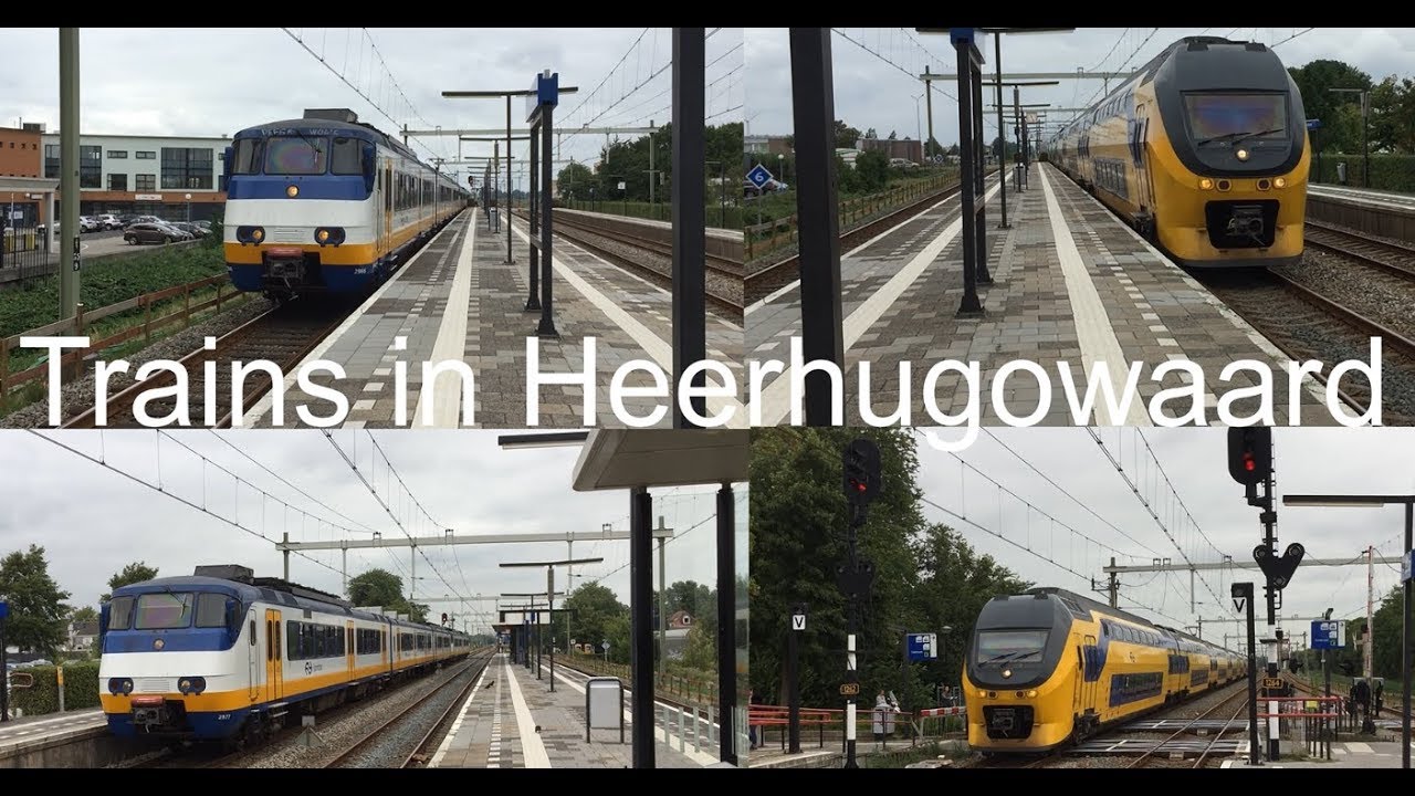 Treinen in Heerhugowaard (NL)