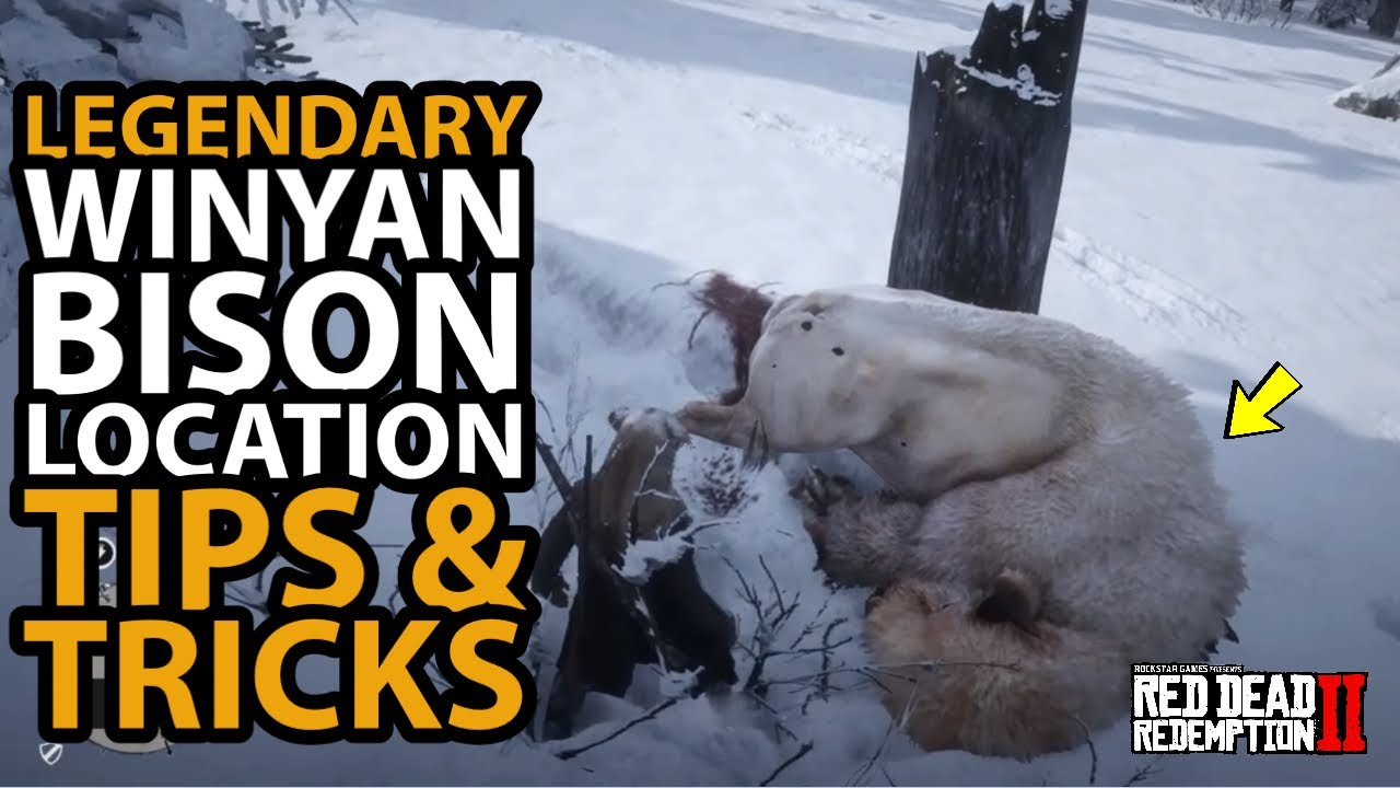 *NEW* Legendary Winyan Bison Location Tips/Tricks in Red Dead Online