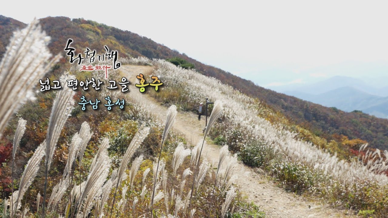 자동차 한대없는 청정섬, 죽도[화첩기행 넓고 편안한 고을 홍주 - 홍성]