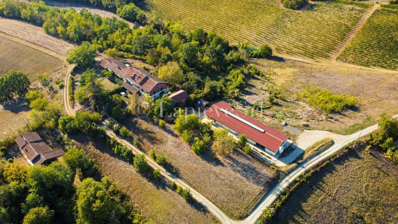 Vendesi Azienda Agricola a cancello chiuso - Fubine AL - Colli del  Monferrato - 4k