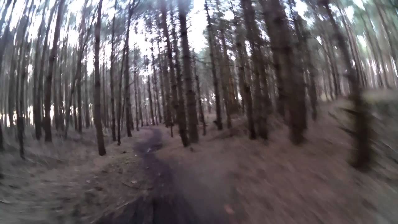 Viking Trail, Tunstall Forest, SUFFOLK, MTB