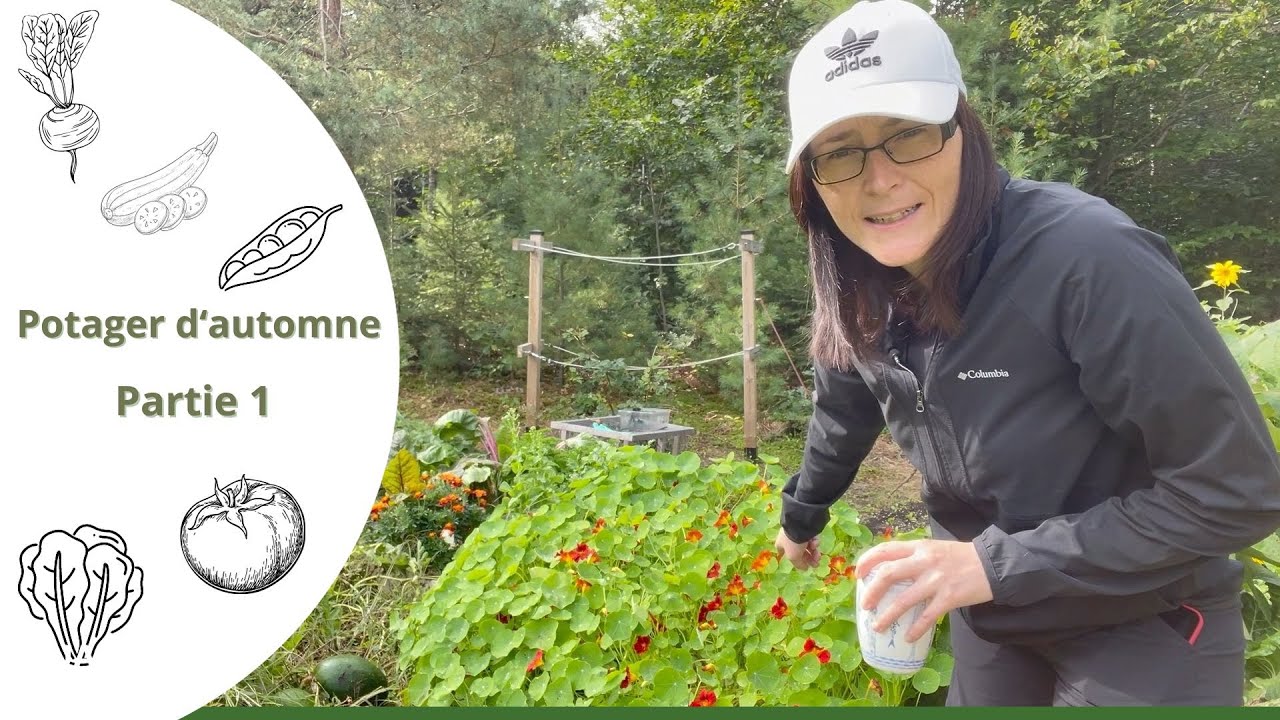 Potager d'automne - Partie 1