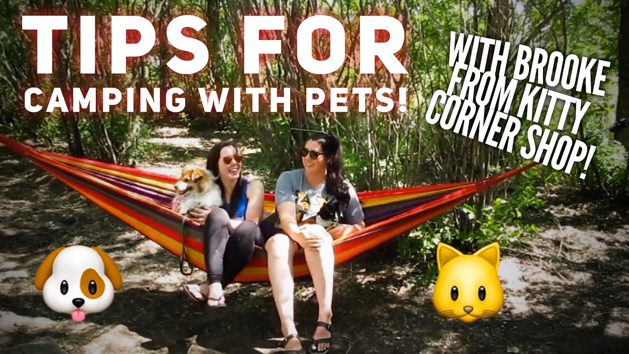 How To Camp With Pets | CAMPING with DOGS and CATS