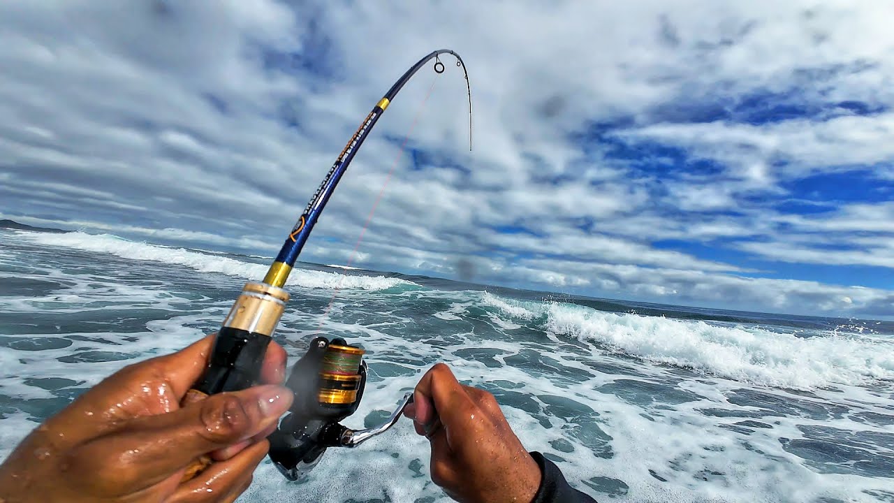 Biglang Naglabasan ang mga Giant Trevally SA Malalakas na Alon!