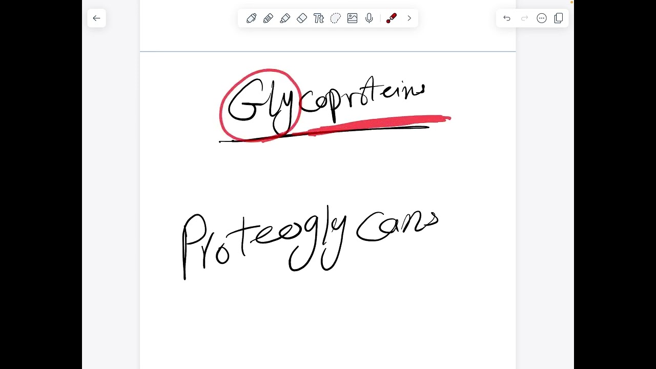 Conjugated and derived Proteins