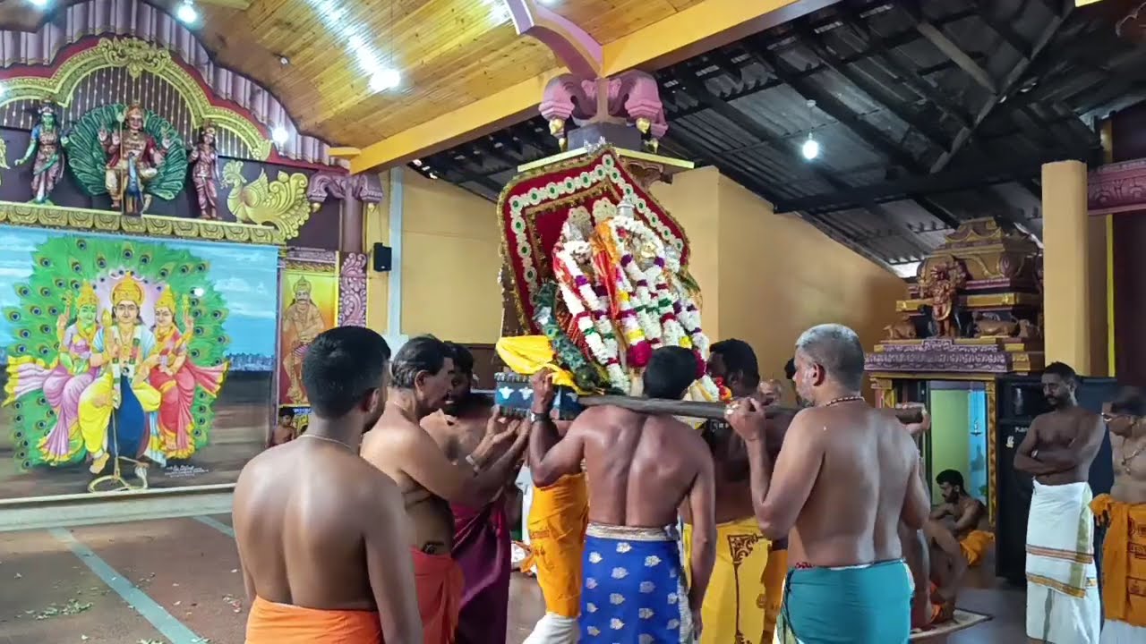 சுழிபுரம்அருள்மிகுகதிர்வேலாயுதசுவாமிஆலய 8ம்நாள்பகல்த்திருவிழாவில் ஆடிஆடிவசந்தமண்டபம்செல்லும்முருகன்
