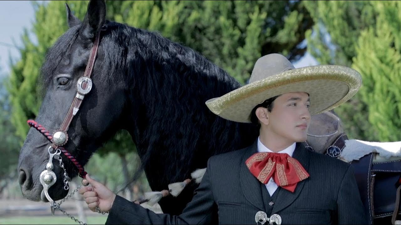Diego Barrios - Quisiera Saber (Video Oficial)