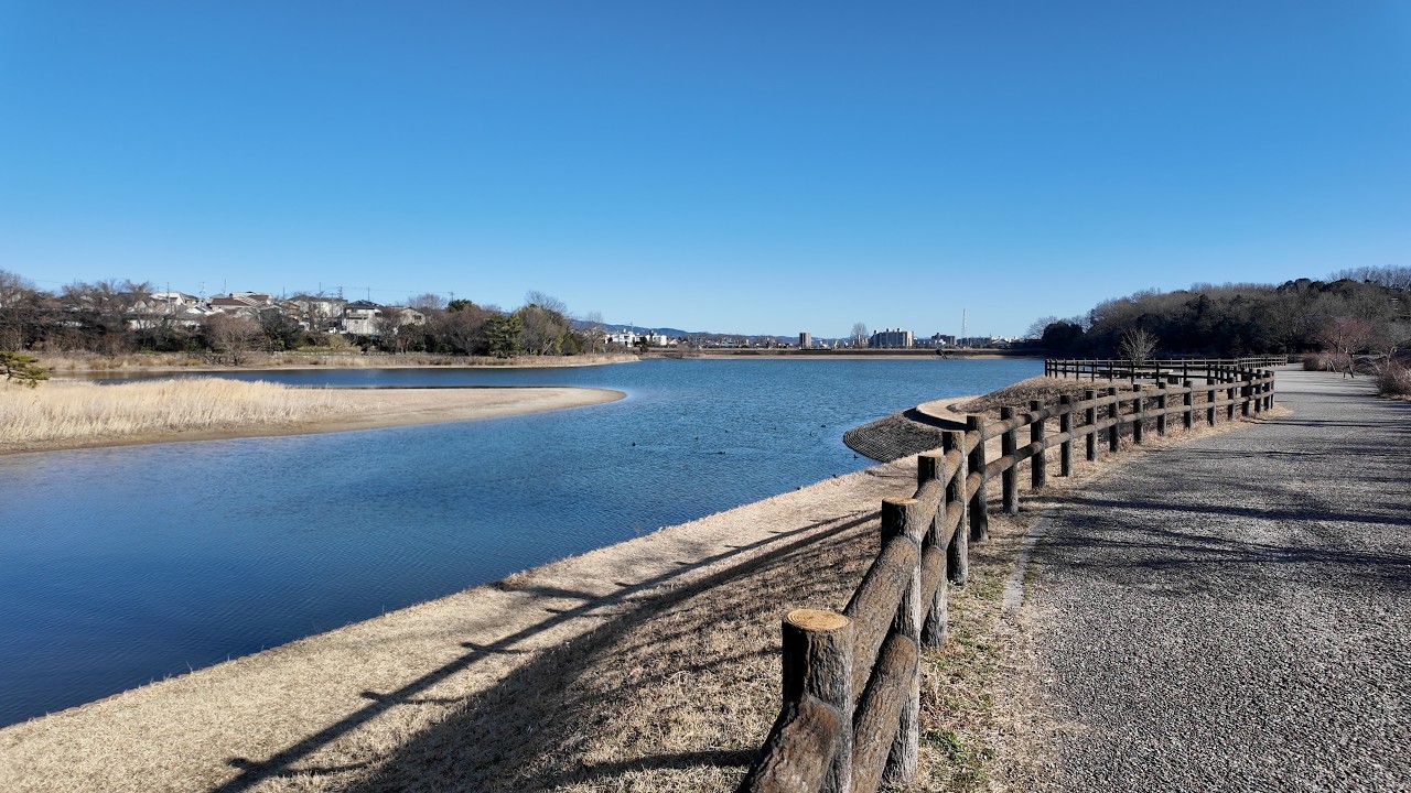 【維摩池】地元の人が静かに歩き続ける水辺｜尾張旭の冬さんぽ｜2026-02-19