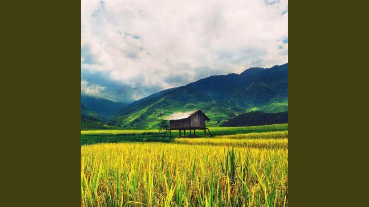 Thương Về Miền Trung