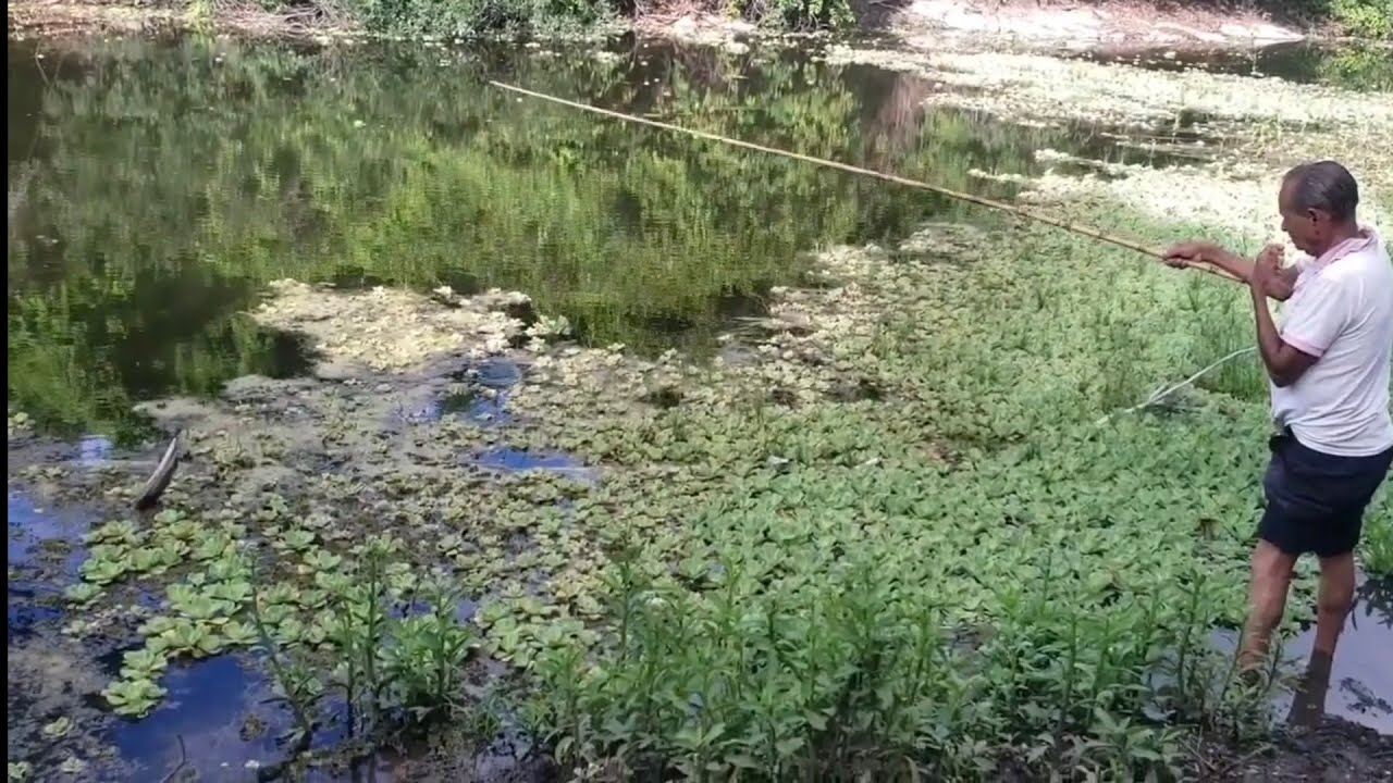 Bora pega umas trairas