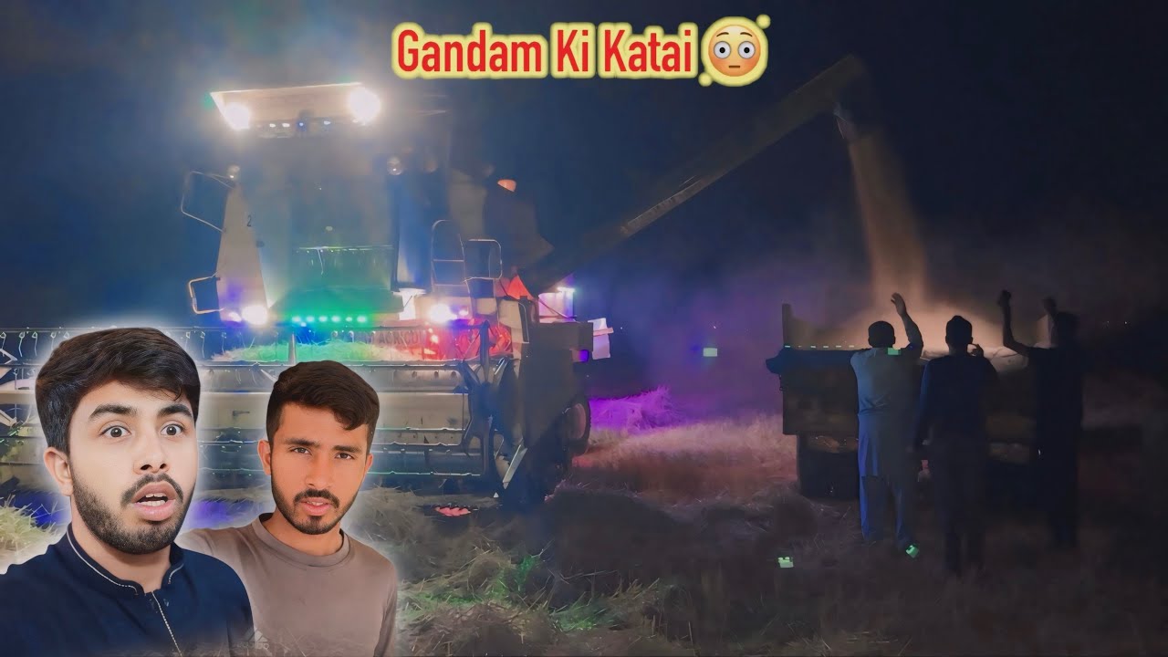 Ahdi Raat Ko Gundam Ki Katai Karni Per Gayi 😳 Zohaib Sabir Vlogs / Zohaib Pendu / Suhaib Sabir Vlogs
