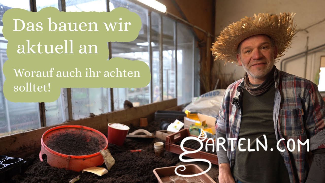 Start in die Saison - Gem&uuml;se anbauen - das pflanzen wir im J&auml;nner und Februar