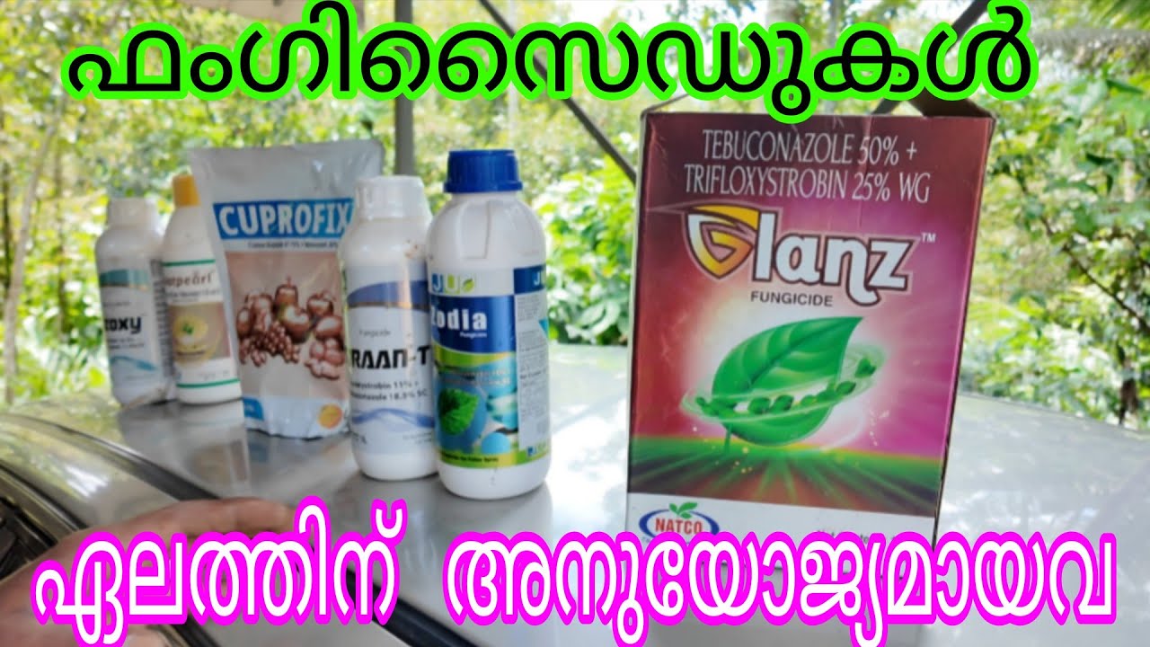 Fungicides for Cardamom#Antony Muniyara Vlogs